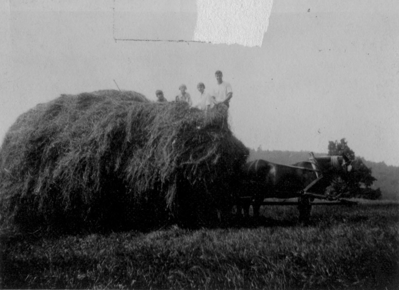 Load of Hay on the large east meadow at Ashley Acres