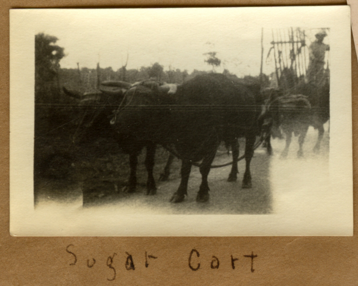 Sugar Cart